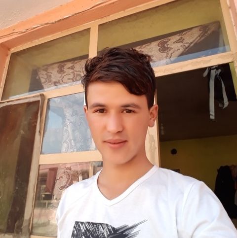 Amusefi