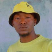 Tluv231