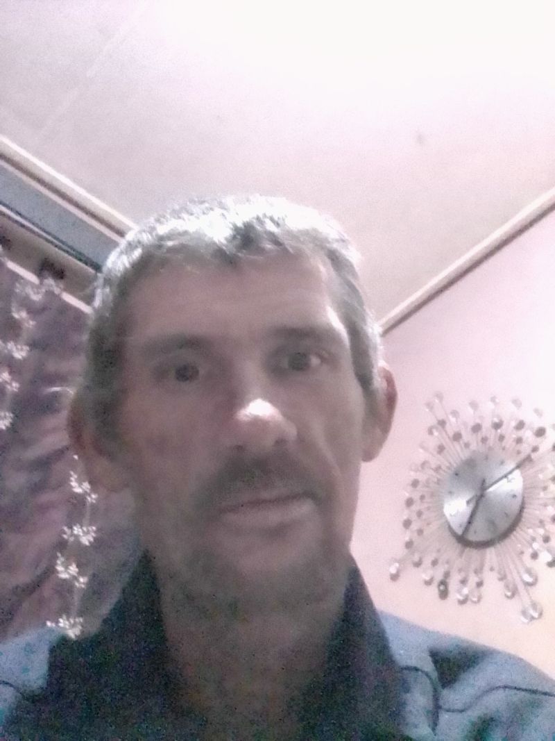 Meisievanger
